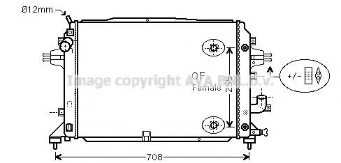 PRASCO OL2460: Radiaator, mootorijahutus