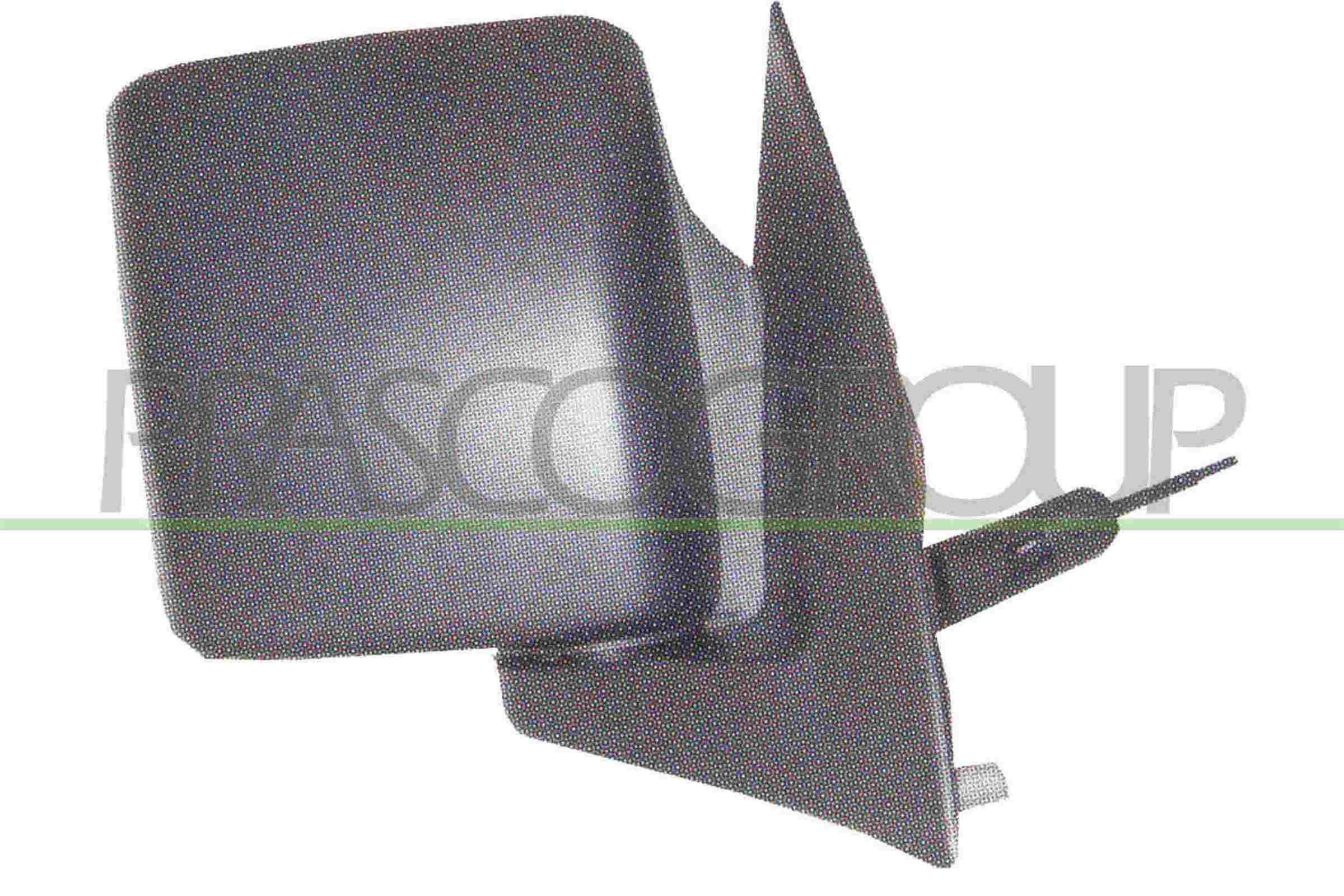 PRASCO OP0317123: Oglinda exterioara dreapta, manual