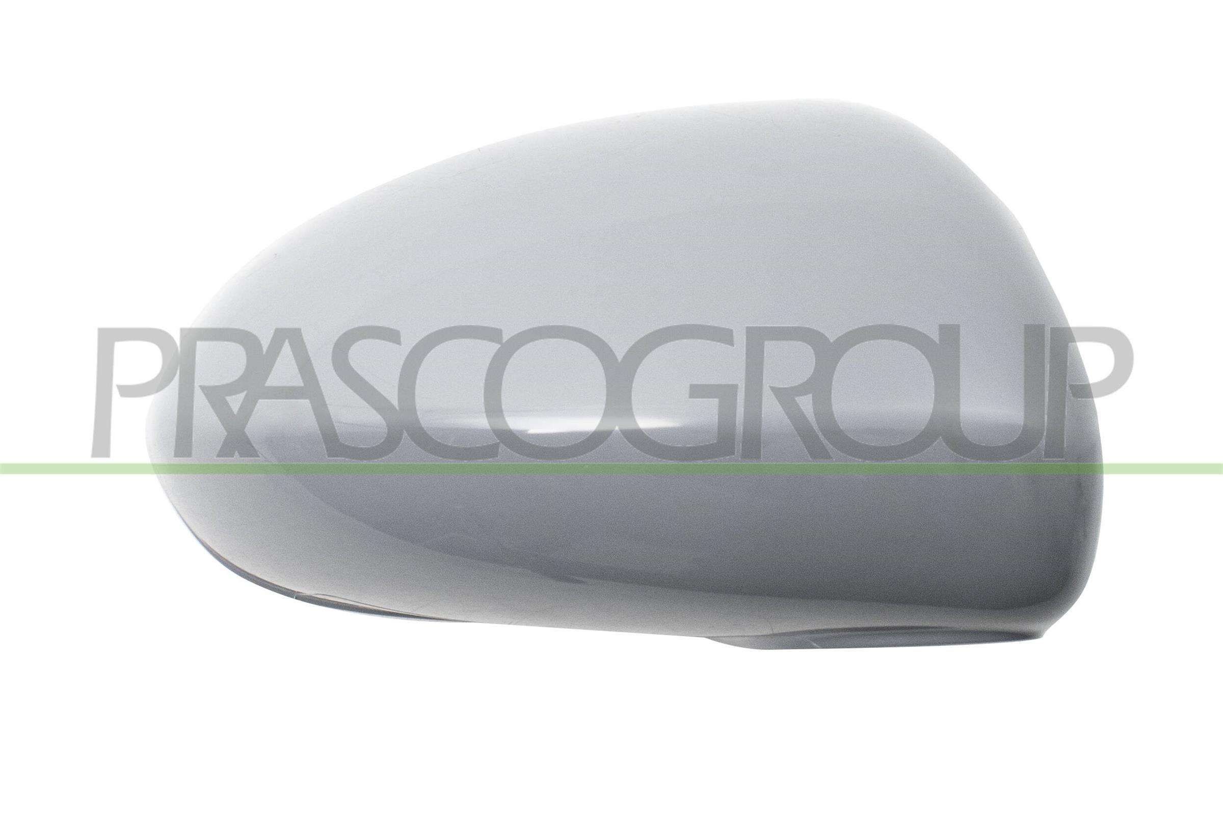 PRASCO OP0347413: Copertura, Specchio esterno Premium