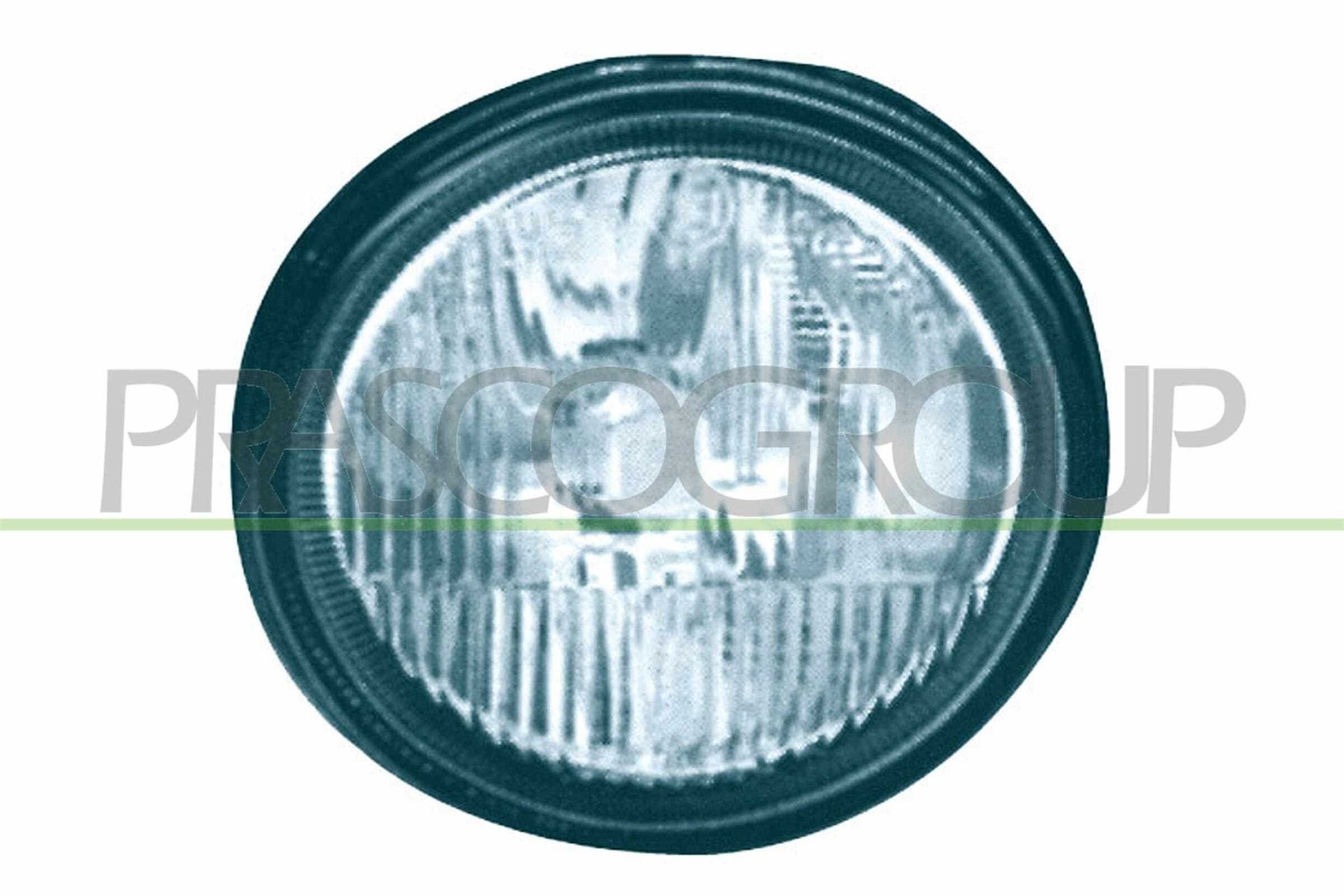 PRASCO RN0274413: Udutuli paremal, H1, koos lambialusega