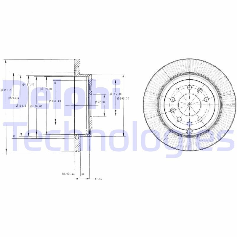 DELPHI BG4336: Piduriketas Ø: 302mm, õhutusega, Ø: 302mm, õlitatud