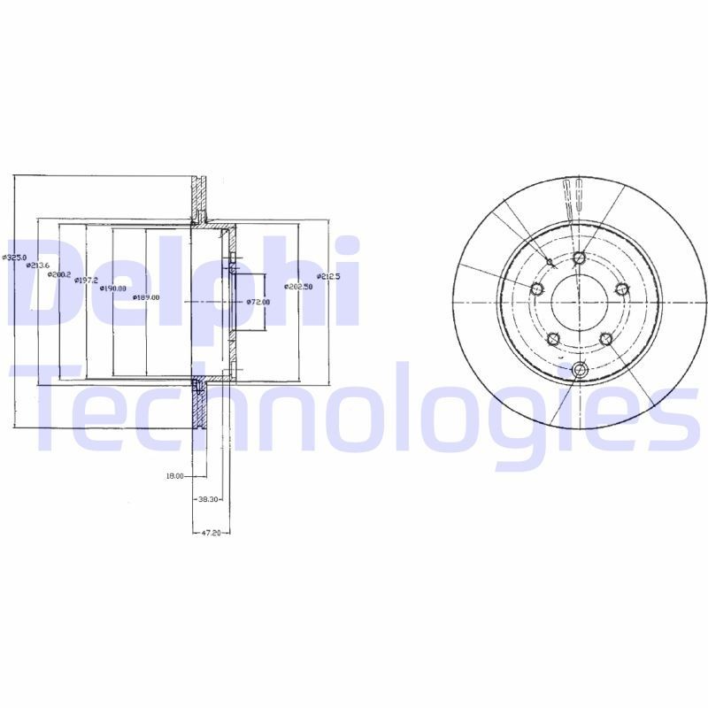 DELPHI BG4341: Piduriketas Ø: 325mm, õhutusega, Ø: 325mm, õlitatud