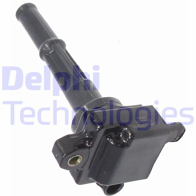 DELPHI GN10299-12B1: Süütepool 12V, 2-poolsus