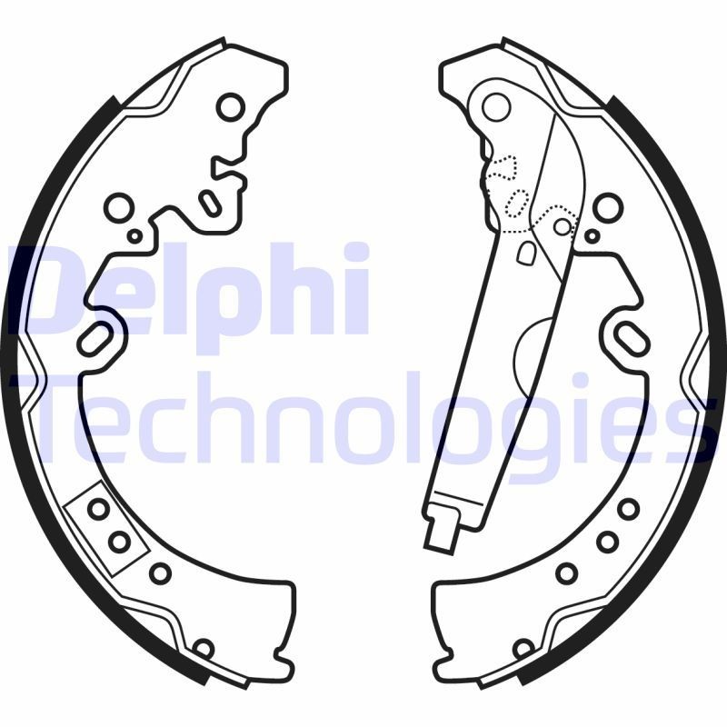 DELPHI LS2039: Set saboti frana, frana de mana