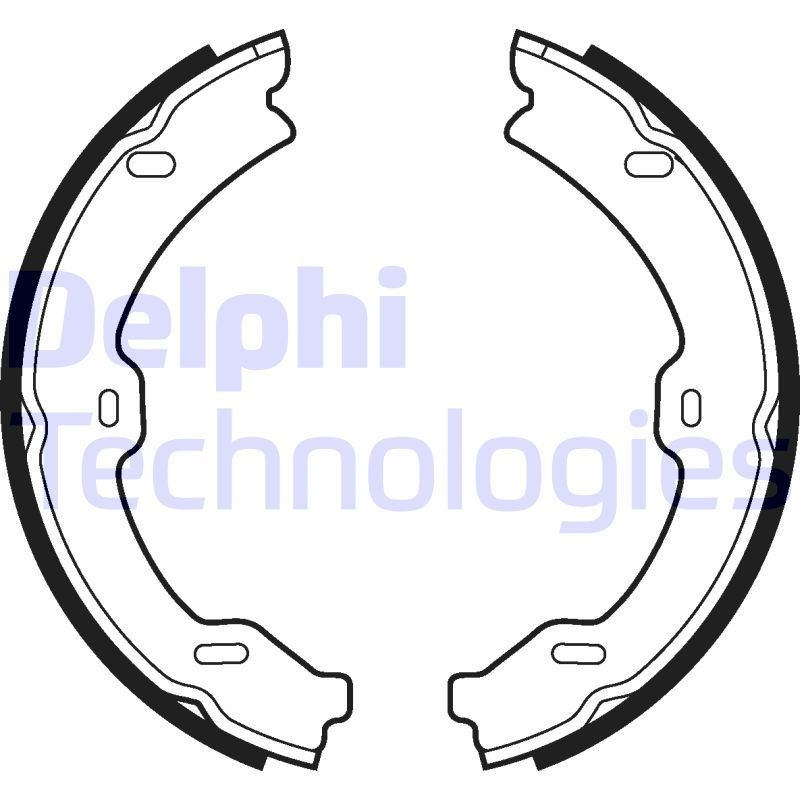 DELPHI LS2040: Piduriklotside komplekt, seisupidur