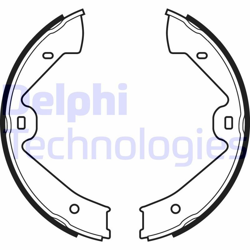 DELPHI LS2070: Piduriklotside komplekt, seisupidur