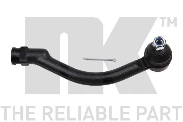 NK 5033443: Cap de bara