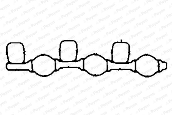 PAYEN JD5872: Garnitura, galerie admisie ACM (cauciuc poliacrilic)