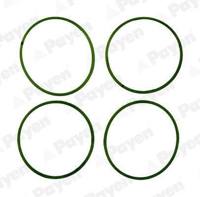 PAYEN HA5032: Set garnituri, galerie admisie