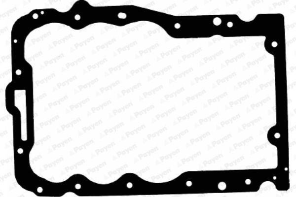 PAYEN JH5037: Garnitura baie ulei