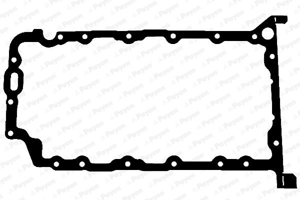 PAYEN JH5080: Garnitura baie ulei