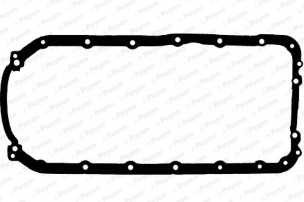 PAYEN JH5015: Garnitura baie ulei
