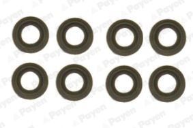 PAYEN HR618: Set garnituri, ax supape