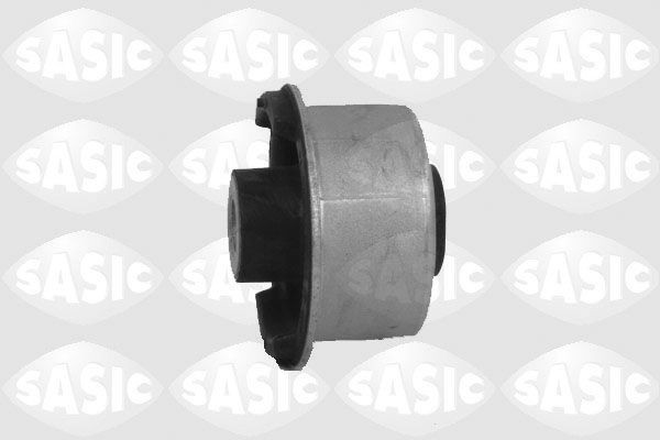SASIC 2256025: Puks Esisild, taga, all