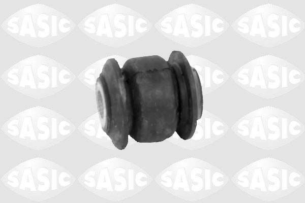SASIC 2250004: Puks Esisild, ees, all