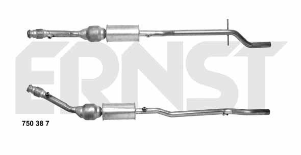 ERNST 750387: Catalizator cu material de atașare/fixare Set
