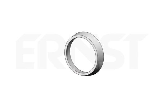 ERNST 493918: Rõngastihend, heitgaasitoru