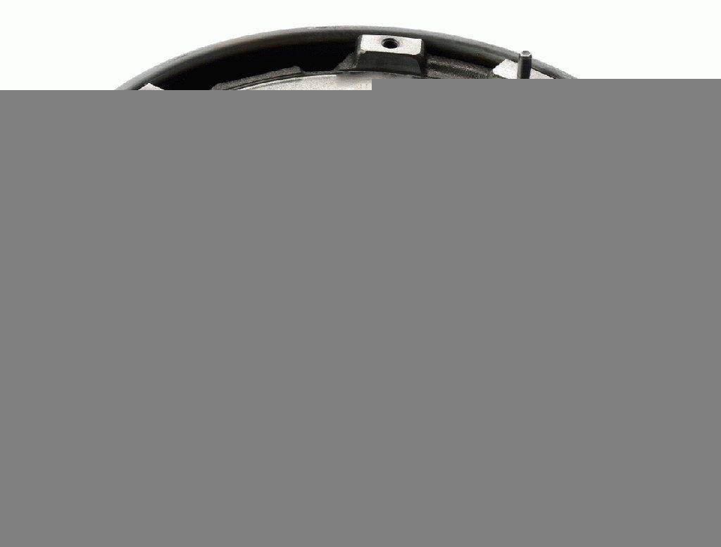 SACHS 2294 501 061: Kahemassiline hooratas Dual-mass flywheel