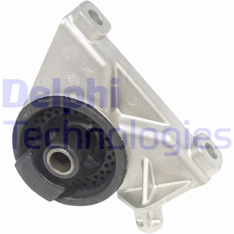 DELPHI TEM010: Motorophæng bag