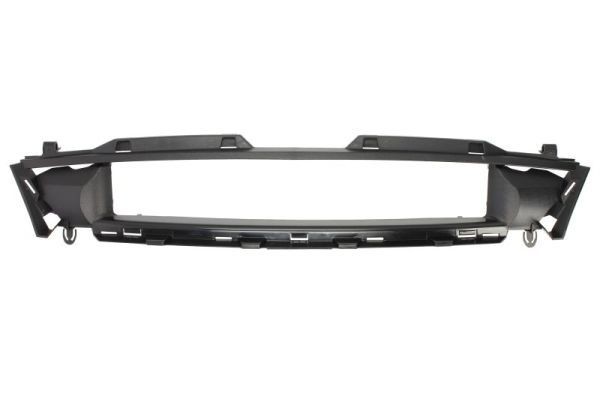 BLIC 5601-00-2563990P: Grila radiator negru