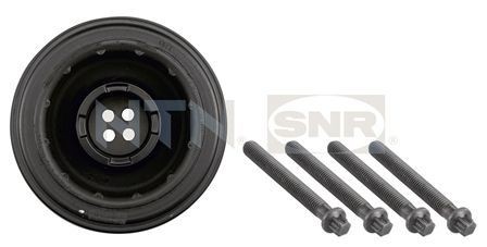 SNR DPF350.06K1: Fulie curea, arbore cotit cu bucsa de cauciuc