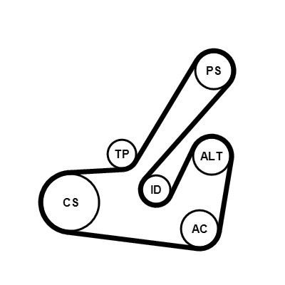 CONTITECH 6PK1145K2: Set curea transmisie cu caneluri