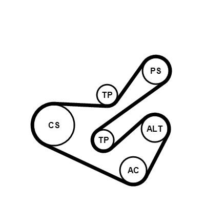 CONTITECH 6PK1740K1: Set curea transmisie cu caneluri