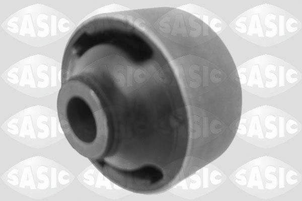 SASIC 2250021: Puks Esisild, taga, all