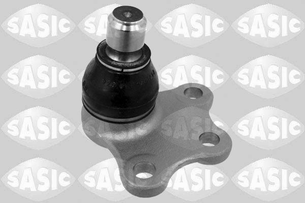SASIC 7570008: Kande- / juhtliigend Esisild, all