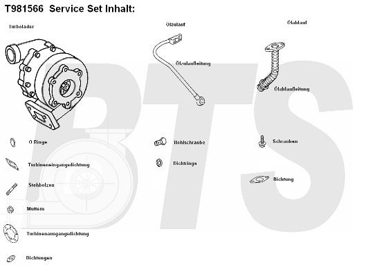 BTS TURBO T981556: Turbosuflantă cu conducta alimentare ulei, cu conducta scurgere ulei, cu garnituri, cu piese componente TURBO SERVICE SET ORIGINAL