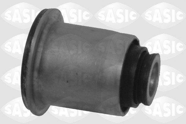 SASIC 2254002: Puks Esisild, ees, all