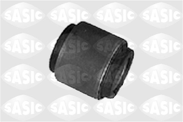 SASIC 4001400: Rooliots Esisild