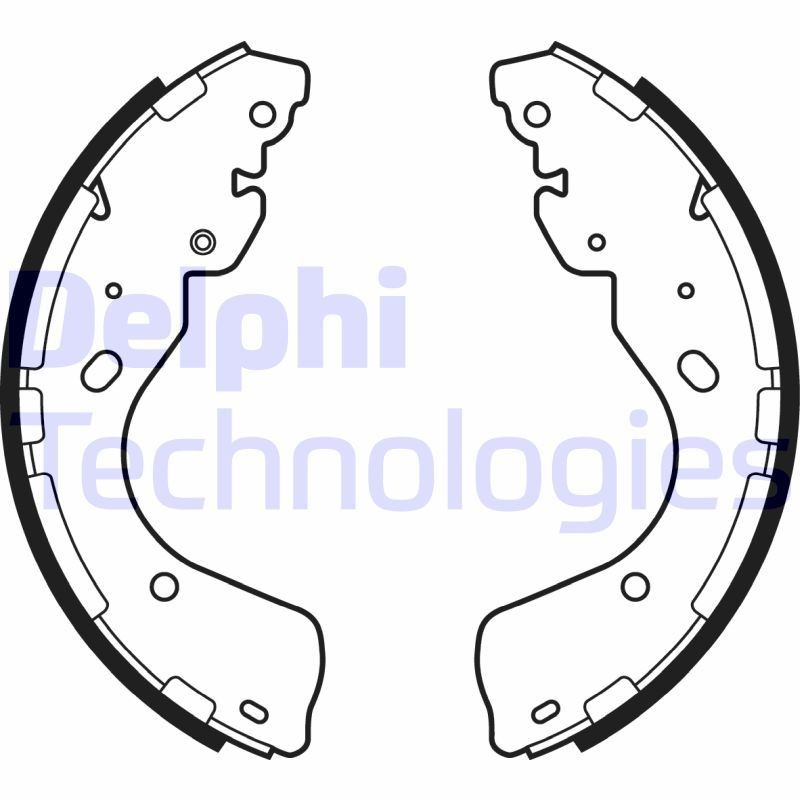 DELPHI LS2080: Piduriklotside komplekt