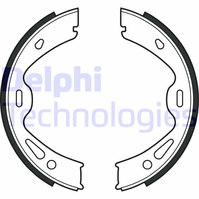 DELPHI LS2091: Piduriklotside komplekt, seisupidur