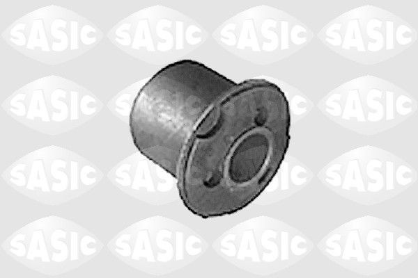 SASIC 5233243: Puks Esisild, taga, all