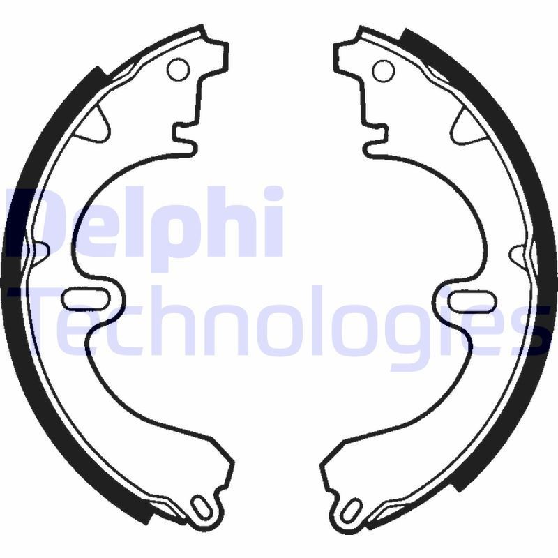 DELPHI LS1356: Piduriklotside komplekt
