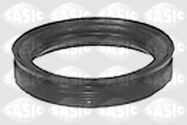 SASIC 1545085: Distantstoru, stabilisaator