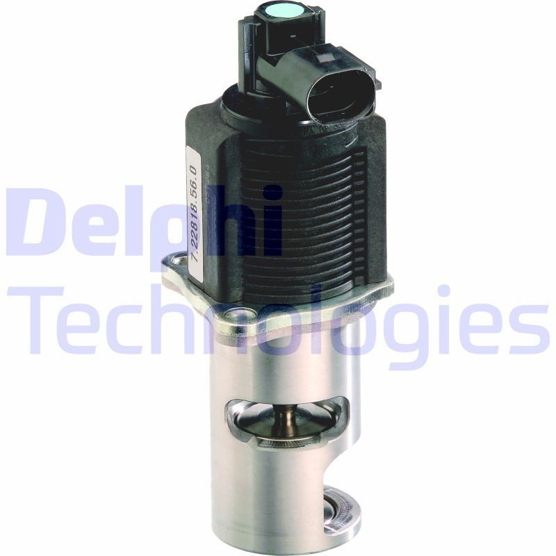 DELPHI EG10298-12B1: EGR-klapp