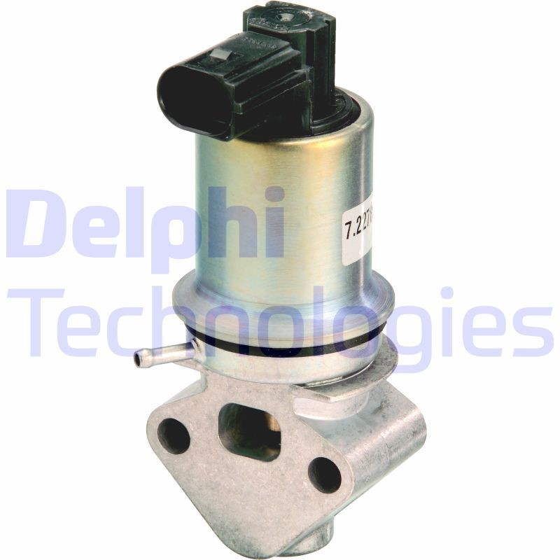 DELPHI EG10295-12B1: EGR-klapp