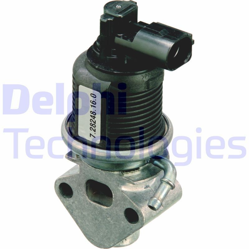 DELPHI EG10309-12B1: EGR-klapp