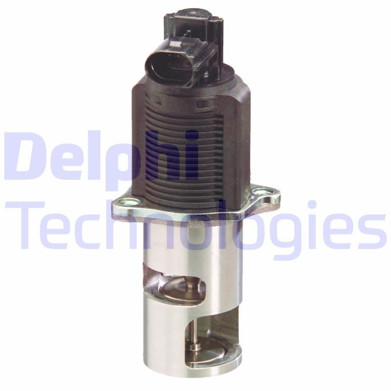 DELPHI EG10297-12B1: EGR-klapp