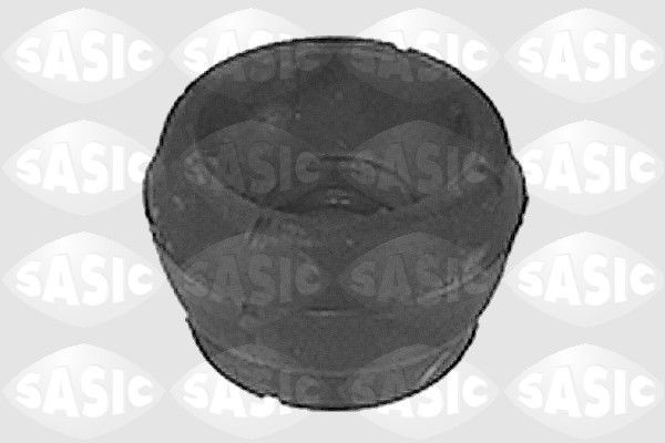 SASIC 9005614: Vedruamordi tugilaager Esisild