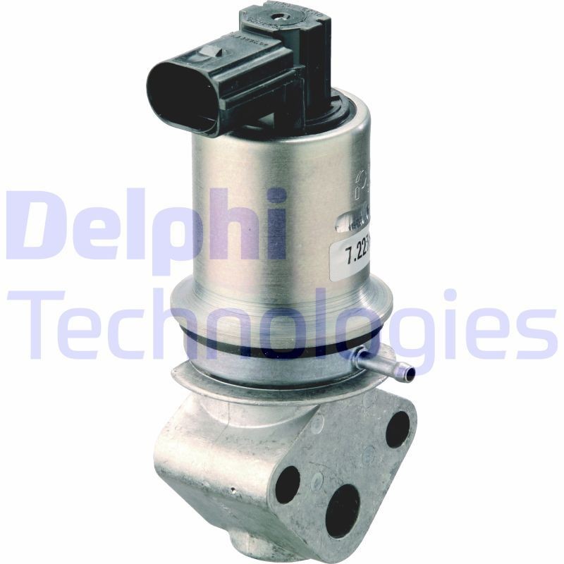 DELPHI EG10293-12B1: EGR-klapp