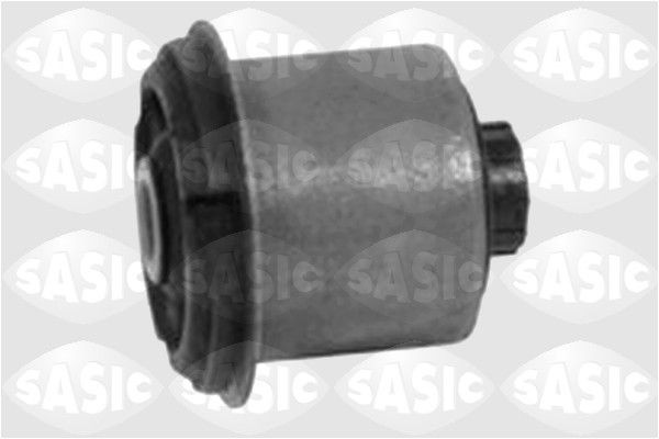 SASIC 4001586: Puks Tagasild