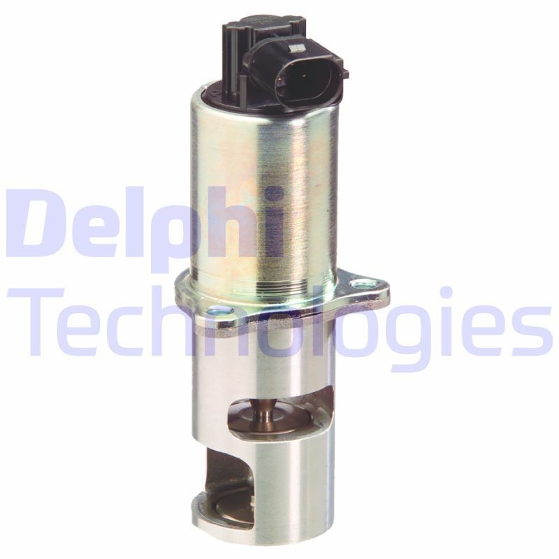 DELPHI EG10296-12B1: EGR-klapp