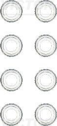 REINZ 12-25792-02: Set garnituri, ax supape