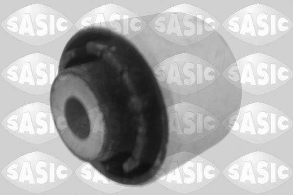 SASIC 2256054: Puks Esisild, taga, all