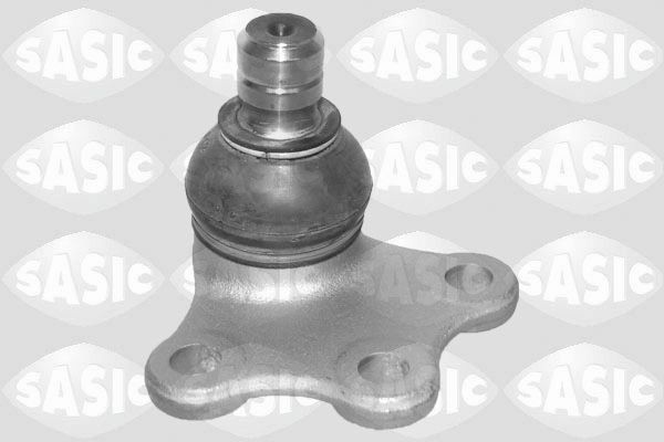 SASIC 7570007: Kande- / juhtliigend Esisild, all