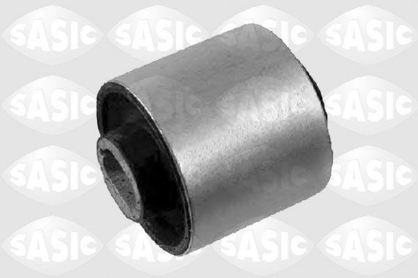 SASIC 2256027: Puks Esisild, taga, all