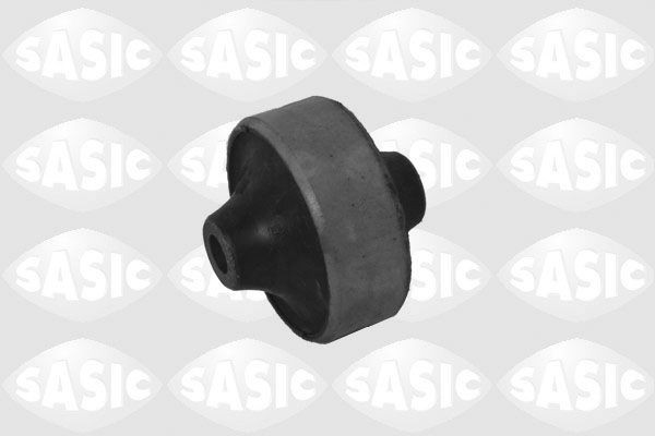 SASIC 2256033: Puks Esisild, taga, all